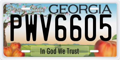 GA license plate PWV6605