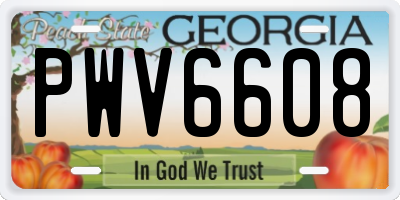 GA license plate PWV6608