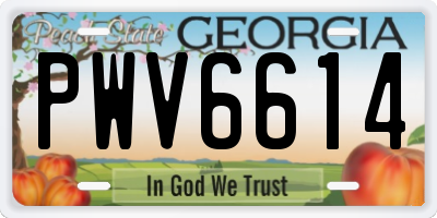 GA license plate PWV6614