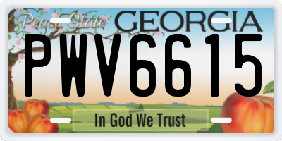 GA license plate PWV6615