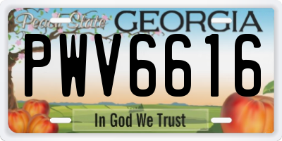 GA license plate PWV6616