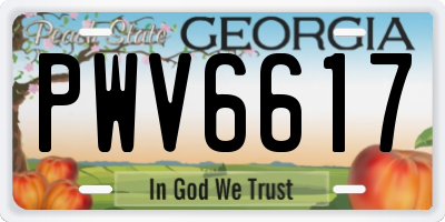 GA license plate PWV6617