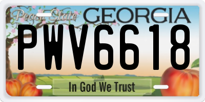 GA license plate PWV6618