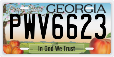 GA license plate PWV6623