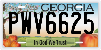 GA license plate PWV6625