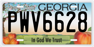GA license plate PWV6628