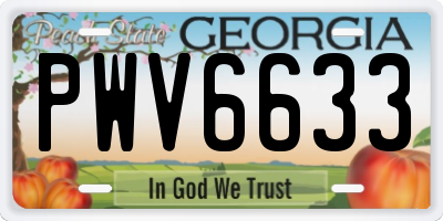 GA license plate PWV6633