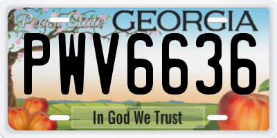 GA license plate PWV6636
