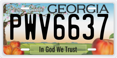 GA license plate PWV6637