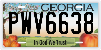 GA license plate PWV6638