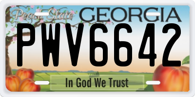 GA license plate PWV6642