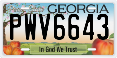GA license plate PWV6643