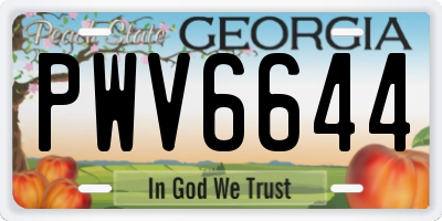 GA license plate PWV6644