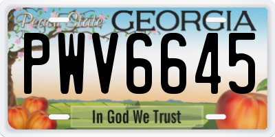 GA license plate PWV6645