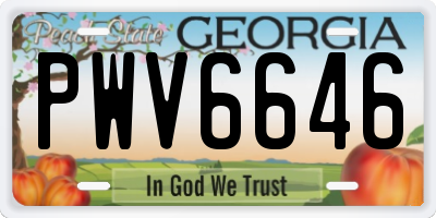 GA license plate PWV6646