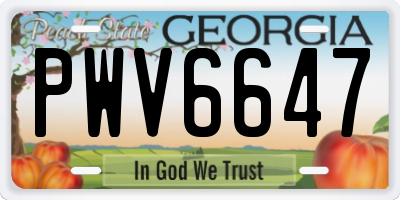 GA license plate PWV6647