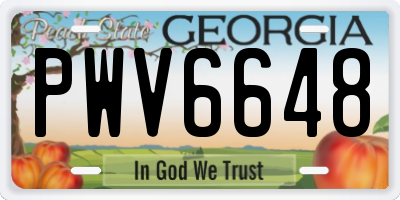 GA license plate PWV6648