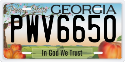GA license plate PWV6650