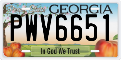 GA license plate PWV6651