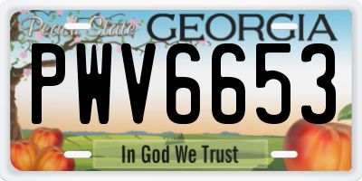GA license plate PWV6653