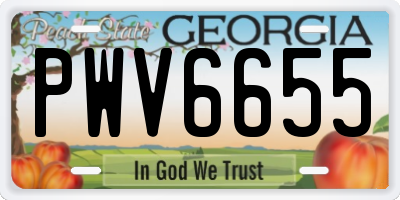 GA license plate PWV6655
