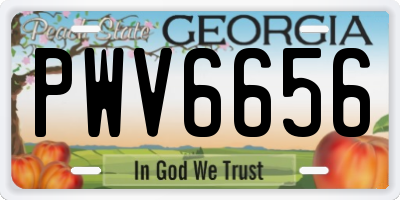 GA license plate PWV6656