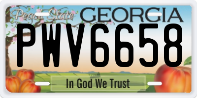 GA license plate PWV6658