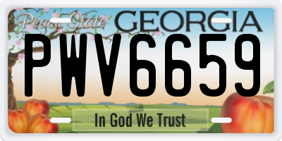 GA license plate PWV6659