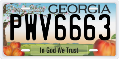 GA license plate PWV6663