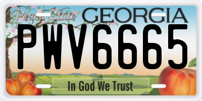 GA license plate PWV6665
