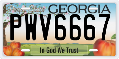 GA license plate PWV6667