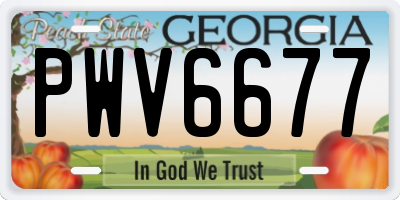 GA license plate PWV6677