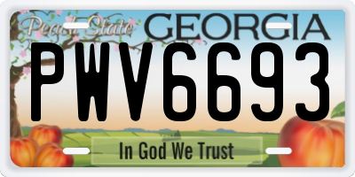 GA license plate PWV6693
