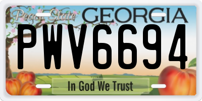 GA license plate PWV6694