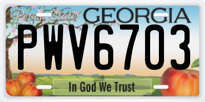 GA license plate PWV6703