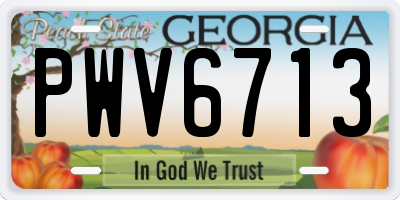 GA license plate PWV6713