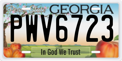 GA license plate PWV6723