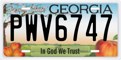 GA license plate PWV6747