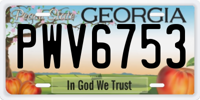 GA license plate PWV6753