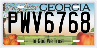 GA license plate PWV6768