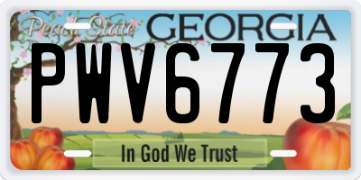 GA license plate PWV6773