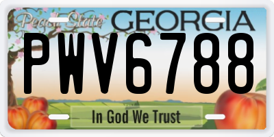 GA license plate PWV6788