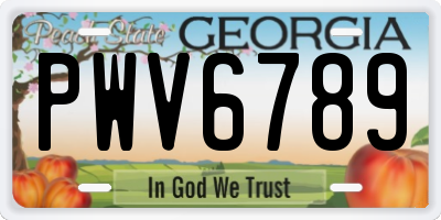 GA license plate PWV6789
