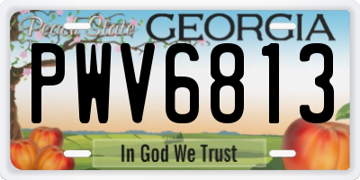 GA license plate PWV6813