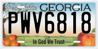 GA license plate PWV6818