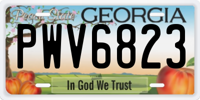 GA license plate PWV6823