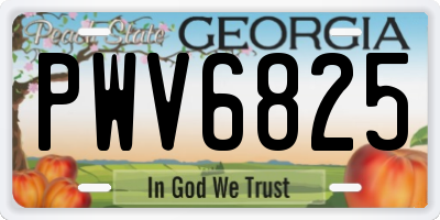 GA license plate PWV6825