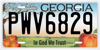 GA license plate PWV6829