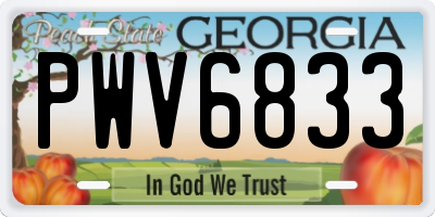 GA license plate PWV6833