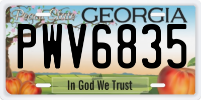 GA license plate PWV6835